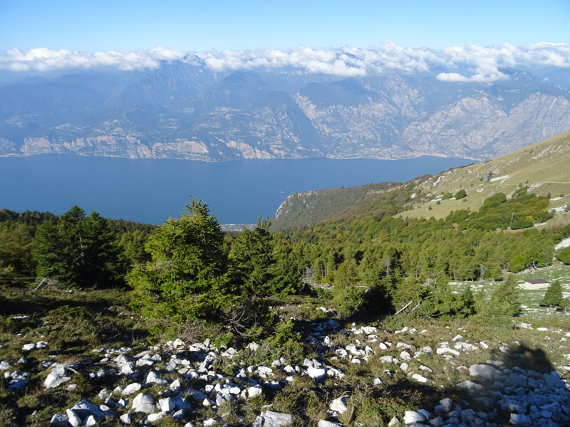 Cima delle Pozzette  m.2132 - Gruppo del Monte Baldo (VR)